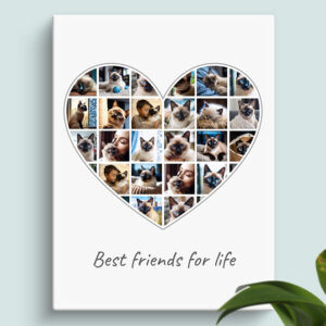 heart shaped pet photo collage