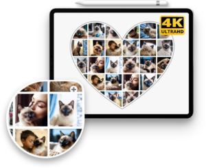 individual pet photo collage heart shaped