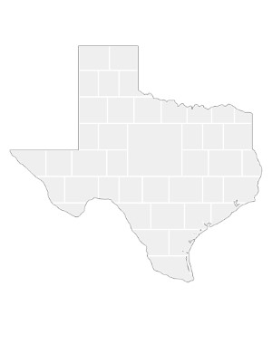 Collage Template in shape of a Texas-Map