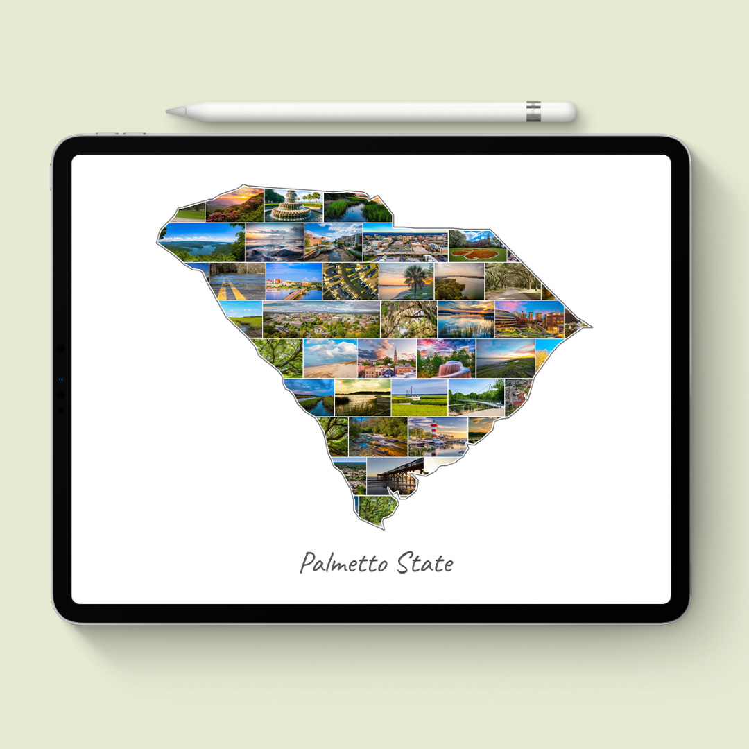 A South Carolina-Collage as digital file on iPad